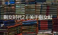 剩女時代2（關于剩女時代2的基本情況說明介紹）