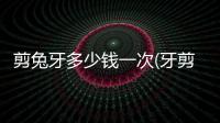 剪兔牙多少錢一次(牙剪多少錢一把)