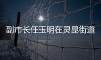 副市長任玉明在靈昆街道調研