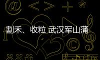 割禾、收粒 武漢軍山蒲潭的主題黨日走進田間地頭憶初心