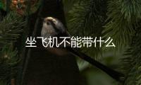 坐飛機不能帶什么