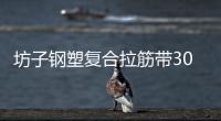 坊子鋼塑復(fù)合拉筋帶30020B齊全