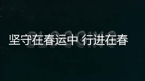 堅守在春運中 行進在春天里