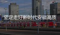 堅定走好新時代安徽高質量發(fā)展新路 _