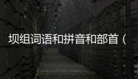 壩組詞語和拼音和部首（壩組詞語）