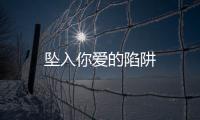 墜入你愛的陷阱