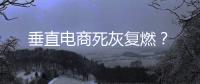 垂直電商死灰復燃？
