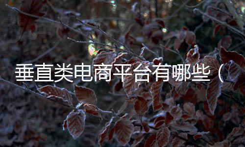 垂直類(lèi)電商平臺(tái)有哪些（垂直電商平臺(tái)還有哪些機(jī)會(huì)）
