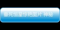 垂死恒星驚艷圖片 神秘的宇宙之眼