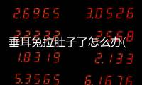 垂耳兔拉肚子了怎么辦(垂耳兔拉肚子了吃什么藥)