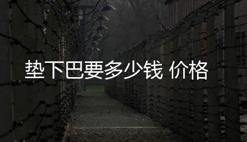 墊下巴要多少錢 價格
