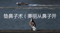 墊鼻子術（美麗從鼻子開始，了解墊鼻子手術）