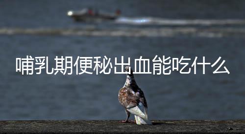 哺乳期便秘出血能吃什么藥