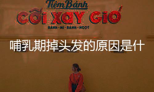 哺乳期掉頭發的原因是什么