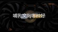 哺乳文胸哪種好