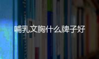 哺乳文胸什么牌子好