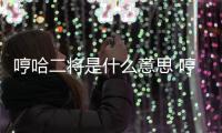 哼哈二將是什么意思 哼哈二將的解釋