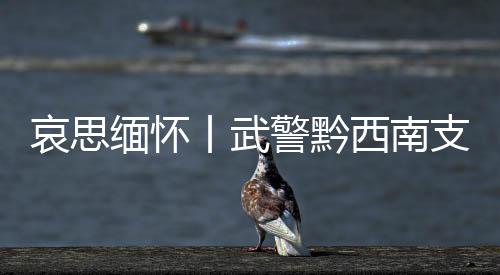 哀思緬懷丨武警黔西南支隊官兵赴革命烈士陵園舉行公祭日活動