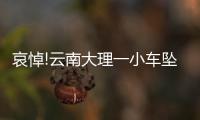 哀悼!云南大理一小車墜入洱海致4人死亡