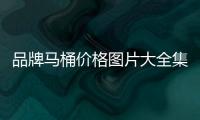 品牌馬桶價格圖片大全集（品牌馬桶價格）
