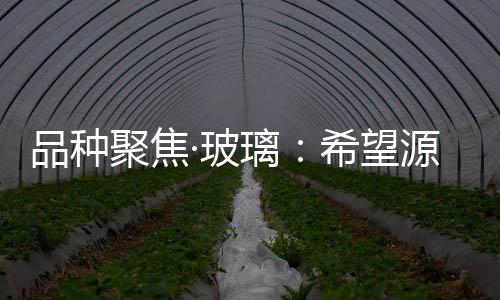 品種聚焦·玻璃：希望源自政策,市場研究