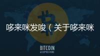 哆來(lái)咪發(fā)唆（關(guān)于哆來(lái)咪發(fā)唆的基本情況說(shuō)明介紹）