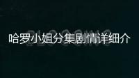 哈羅小姐分集劇情詳細介紹11