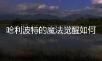 哈利波特的魔法覺醒如何獲得蠑螈之血游戲攻略