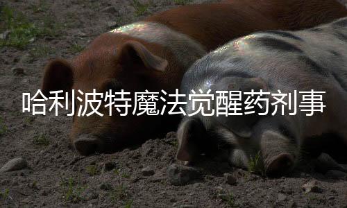 哈利波特魔法覺(jué)醒藥劑事故如何通過(guò)通關(guān)陣容推薦？