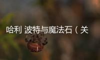哈利 波特與魔法石（關于哈利 波特與魔法石的基本情況說明介紹）