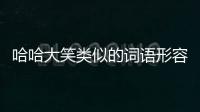 哈哈大笑類似的詞語形容笑的（哈哈大笑類似的詞語）