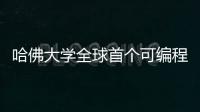 哈佛大學全球首個可編程邏輯處理器，具有48個邏輯量子比特