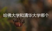 哈佛大學和清華大學哪個比較好？ 哈佛大學vs清華大學