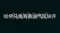 哈伊馬角籌備油氣區塊許可招標