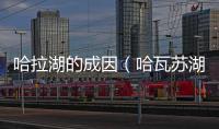 哈拉湖的成因（哈瓦蘇湖是一個位于）