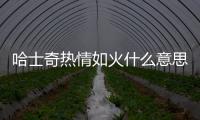 哈士奇熱情如火什么意思(哈士奇熱傻了)