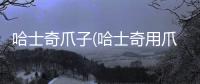 哈士奇爪子(哈士奇用爪子撓地是因為啥)