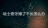 哈士奇牙掉了不長怎么辦？哈士奇牙掉了怎么辦