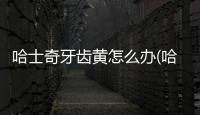 哈士奇牙齒黃怎么辦(哈士奇牙齒結構圖)