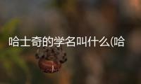 哈士奇的學名叫什么(哈士奇原名叫什么)