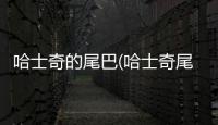 哈士奇的尾巴(哈士奇尾巴尖是不是都是白色)