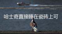 哈士奇直接睡在瓷磚上可以嗎？哈士奇直接睡在瓷磚上好嗎