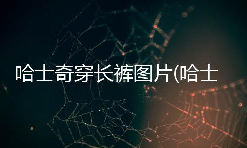 哈士奇穿長褲圖片(哈士奇穿長褲還是短褲)
