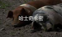 哈士奇卡密