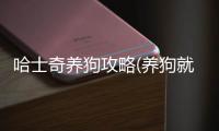 哈士奇養(yǎng)狗攻略(養(yǎng)狗就養(yǎng)哈士奇)