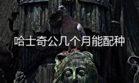 哈士奇公幾個月能配種