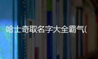 哈士奇取名字大全霸氣(哈士奇取名字搞笑)