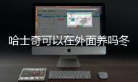 哈士奇可以在外面養嗎冬天？哈士奇能放老家當土狗養嗎