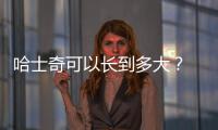 哈士奇可以長到多大？ 哈士奇能長多大多高