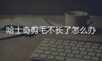 哈士奇剪毛不長了怎么辦視頻？哈士奇剃了毛不長了怎么辦